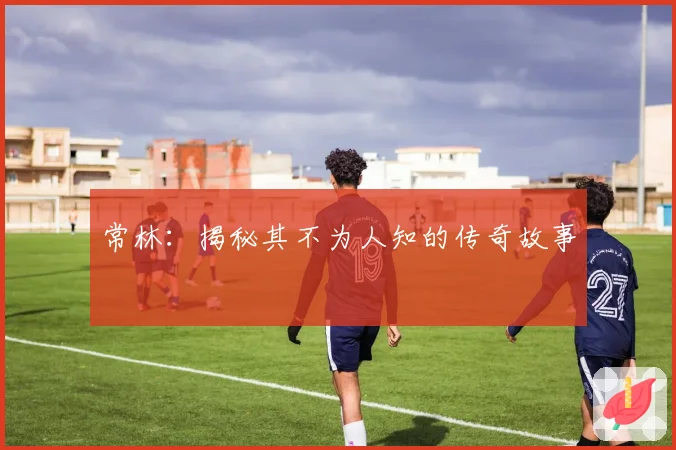 常林:揭秘其不为人知的传奇故事
