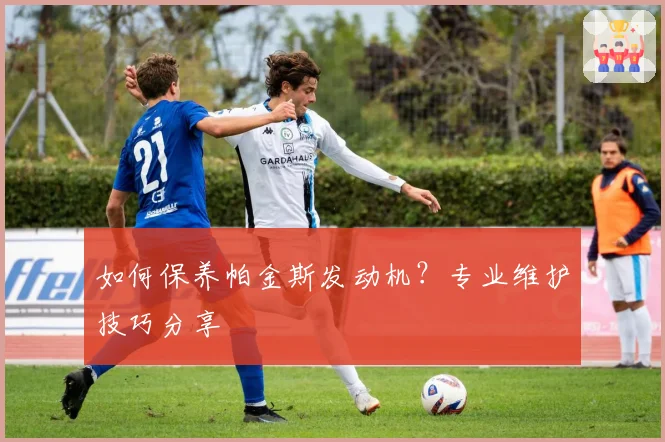 如何保养帕金斯发动机?专业维护技巧分享