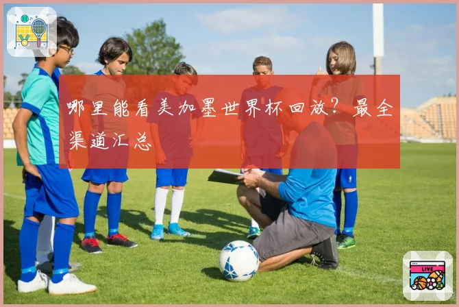 哪里能看美加墨世界杯回放?最全渠道汇总